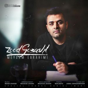 زود گذشت - میثم ابراهیمی