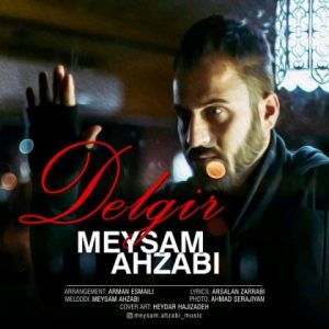 دلگیر - میثم احزابی