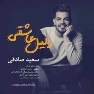 دلیل عاشقی - سعید صادقی