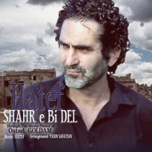 شهر بی دل - هاتف