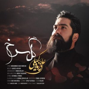 دانلود آهنگ گل سرخ - علی زند وکیلی