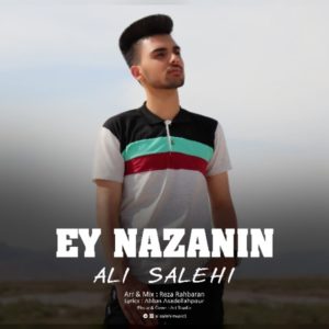 دانلود آهنگ ای نازنین از علی صالحی