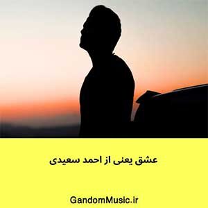 اهنگ هم رفیقمی هم عشقم ازت معرفت دیدم احمد سعیدی دانلود