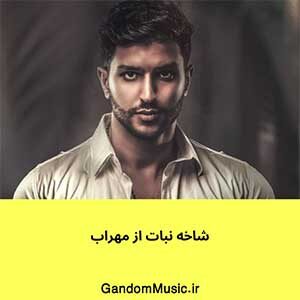 اهنگ ریزه ریزه دل میریزه ریزه ریزه سینه ریزه مهراب دانلود