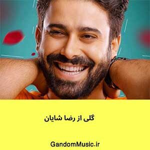 اهنگ شبا تا که میشینم تو رو میبینم ماه میشه کامل رضا شایان دانلود