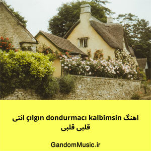 اهنگ çılgın dondurmacı kalbimsin انتى قلبى قلبى دانلود