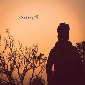 اهنگ از زمانی که واسه خودم شدی گلم من روانیه چشای خوشگلت شدم ریمیکس دانلود + { اصلی }