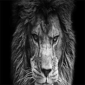 اهنگ اره دادا یاغی بمن حسین رضایی مازندرانی شمالی دانلود