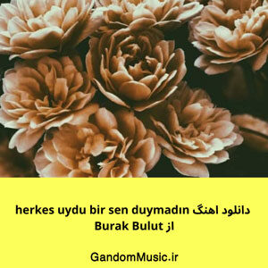  دانلود اهنگ herkes uydu bir sen duymadın از Burak Bulut