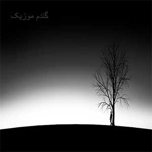 اهنگ تو رو بالا میبردم شاه من باشی دانلود