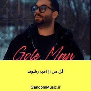 اهنگ یه گل دادی بهم دلم برات رفت امیر رشوند دانلود