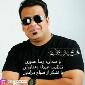 دانلود آهنگ مهربونم از رضا غدوری