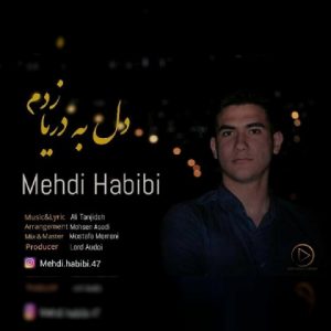 دانلود آهنگ دل به دریا زدم‬ از مهدی حبیبی