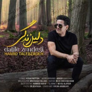 دانلود آهنگ دلیل زندگی از حمید طالب زاده