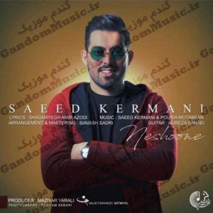 دانلود آهنگ نشونه از سعید کرمانی