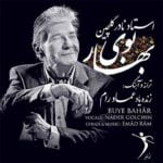 دانلود آهنگ کوچه باغ از نادر گلچین