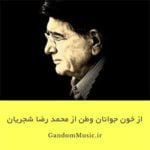دانلود آهنگ نه دین داری نه آیین داری ای چرخ شجریان