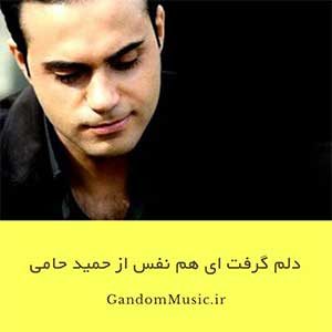 دانلود اهنگ دلم گرفت ای هم نفس حامی