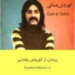 اهنگ ترکی ریحان ریحان عالم سنه حیران کوروش یغمایی