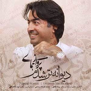 گفتم ببینمت شاید که از سرم دیوانگی رود
