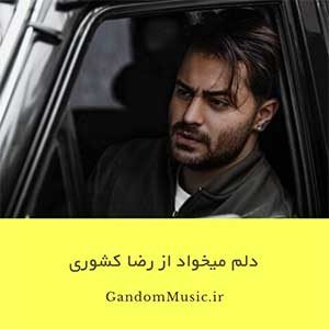 دانلود اهنگ بمونم با تو تا سال هزارو سیصد و هرچی رضا کشوری