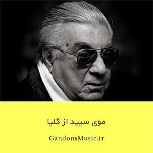 دانلود اهنگ موی سپید و توی آینه دیدم آهی بلند از ته دل کشیدم تا زیر لب شکوه رو کردم آغاز گلپا